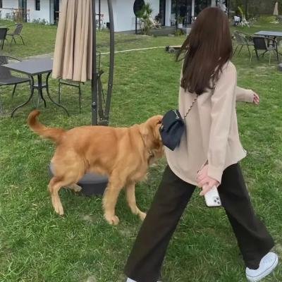 迷魂之密室逃脱